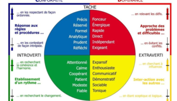 les 4 couleurs DISC